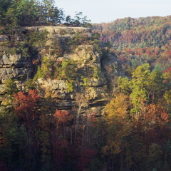 Red River Gorge in Fall